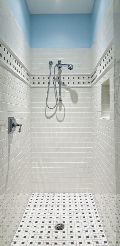 Sleek Shower Renovation